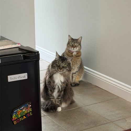 Titus and Peanut